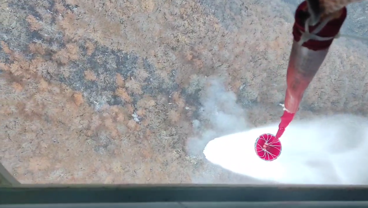 آتش‌سوزی در منطقه الیت چالوس مازندران در آستانه مهار کامل+فیلم