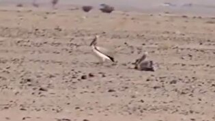 دریاچه ارومیه، نگین خشک‌شده ایران