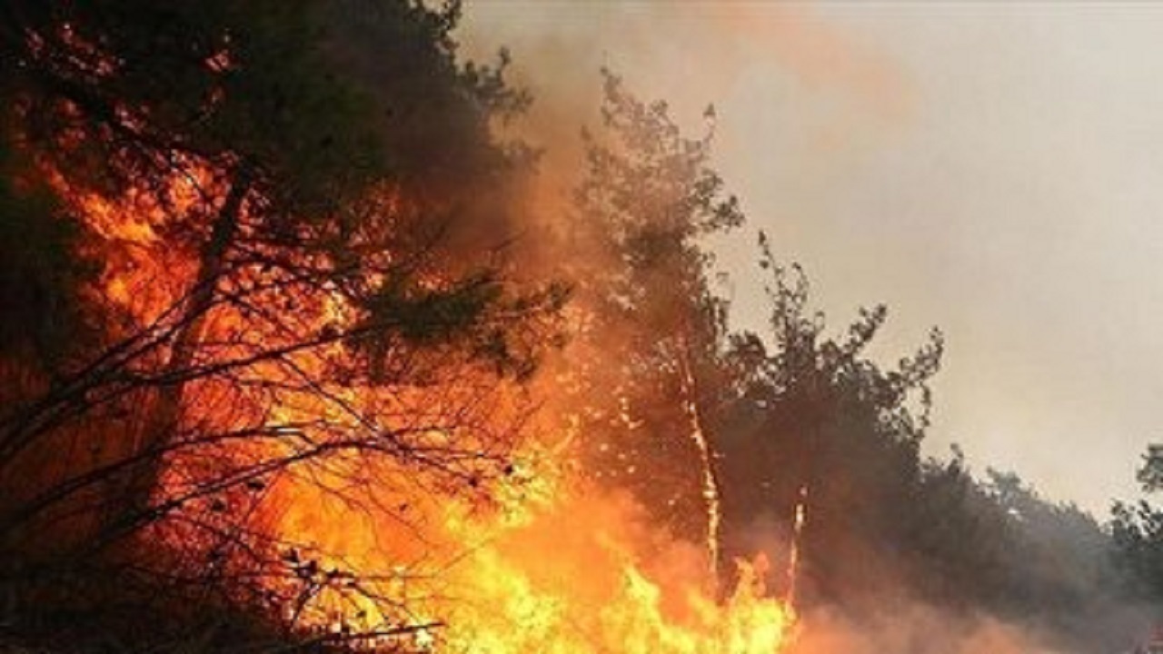 مدیرکل مدیریت بحران مازندران: آتش مهار شد، خاموش نه