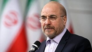 وزارت نفت یکی از دولتی‌ترین وزارتخانه‌هاست و کوزه‌گر از کوزه شکسته آب نمی‌خورد از کوزه طلایی آب می‌خورد