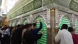 گل‌آرایی ضریح امیرالمومنین (ع) به‌مناسبت ولادت حضرت زینب (س)