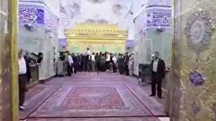 فرش‌های حرم حضرت عباس (ع) تعویض شد