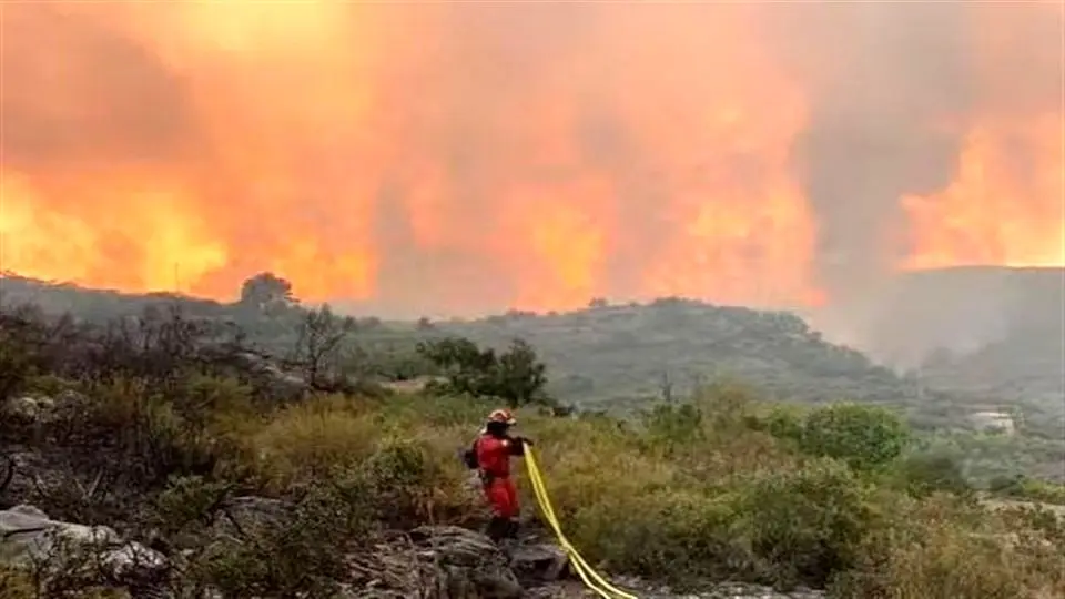 لکه‌گیری در ضلع شرقی و ایجاد معبر ضد حریق در غرب جنگل های الیت