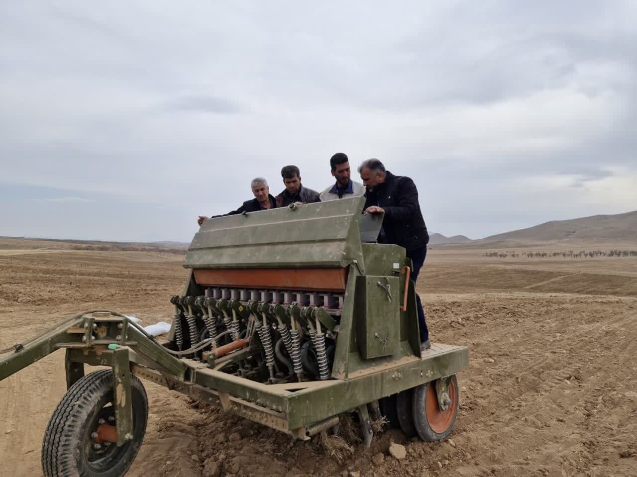 پیش‌بینی کشت ۳۰۰۰ هکتار علوفه در چهارمحال و بختیاری