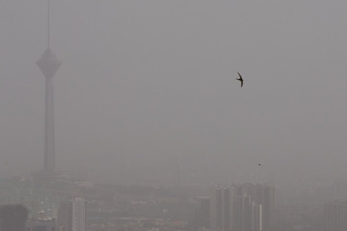 وضعیت هوای فردا ؛ آلودگی هوا رکورد زد و کلاس&zwnj;ها دایر شد! / دلیل عدم تعطیلی یا غیرحضوری شدن مدارس