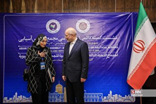 نشست کمیته دائمی امور سیاسی مجمع مجالس آسیایی در مشهد