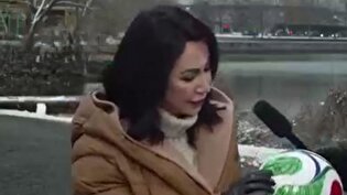 ایالات‌متحده کشور ماست!