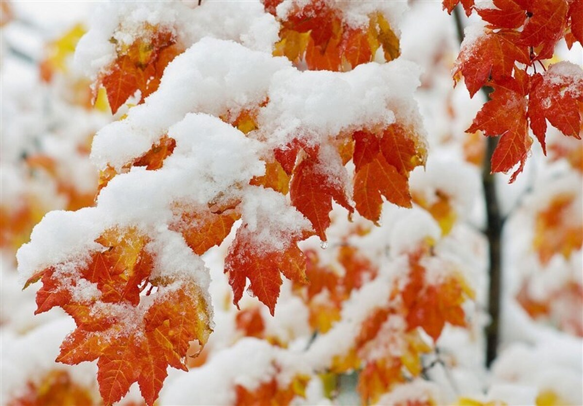 از آذربایجان تا خلیج‌فارس زیر بارش/ هشدار نارنجی هواشناسی تا چهارشنبه