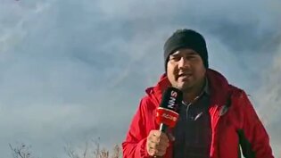 تنها هواپیما‌های ایلیوشین ایران در عملیات اطفای حریق جنگل‌های الیت حضور دارند