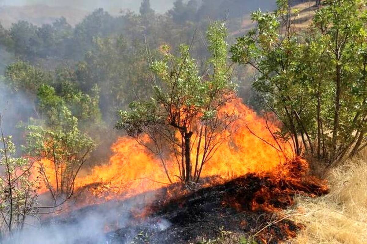 گزارش خبرنگار SNNTV از ارتفاعات جنگلهای الیت/ در نتیجه تلاشهای آتشنشانان دامنه آتش محدودتر شده است + فیلم