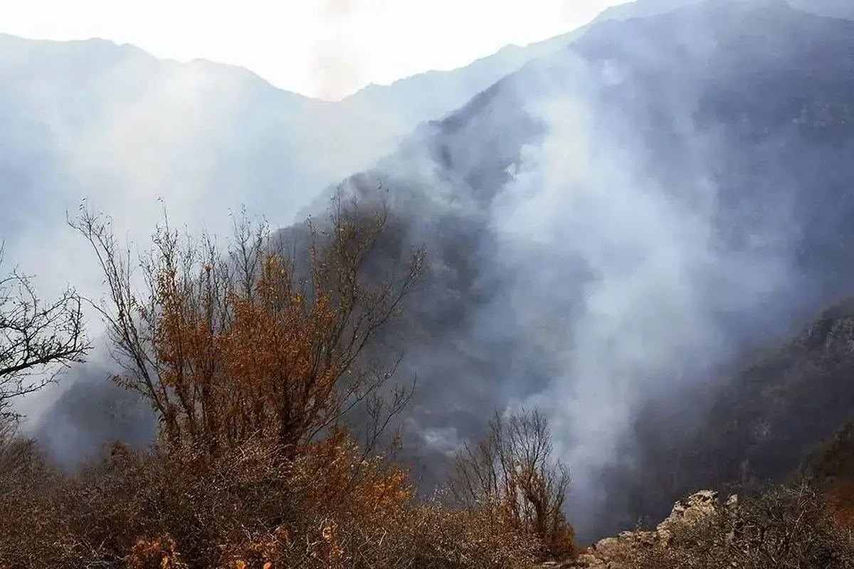 حریق در الیت مهار شد/لکه گیری در منطقه همچنان ادامه دارد+فیلم