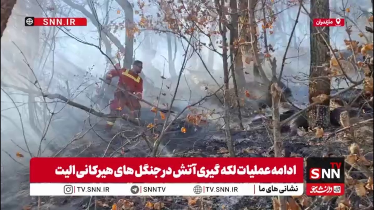 ادامه عملیات لکه گیری آتش در جنگل های هیرکانی الیت