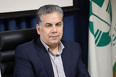 معاون سازمان محیط زیست: خیلی وقت‌ها نیرو‌های مردمی در اطفای حریق جنگل‌ها از نیرو‌های دولتی بهتر عمل می‌کنند + فیلم