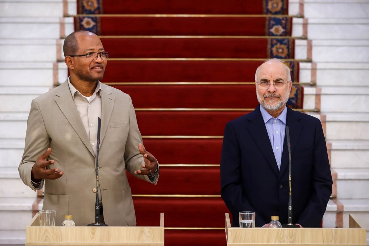 رئیس نمایندگان مجلس اتیوپی: امیدوارم روابط ایران و اتیوپی توسعه پیدا کند+فیلم