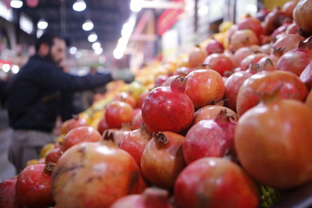 ساعت کاری میادین میوه و تره‌بار تهران در آستانه شب یلدا / قیمت هر کیلو آجیل شور چند است؟