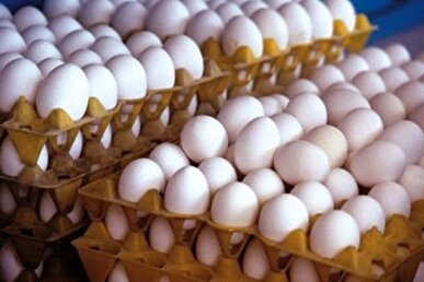 در بازار تخم مرغ چه می‌گذرد؟ / قیمت هر شانه تخم مرغ به ۲۵۰ هزارتومان رسید