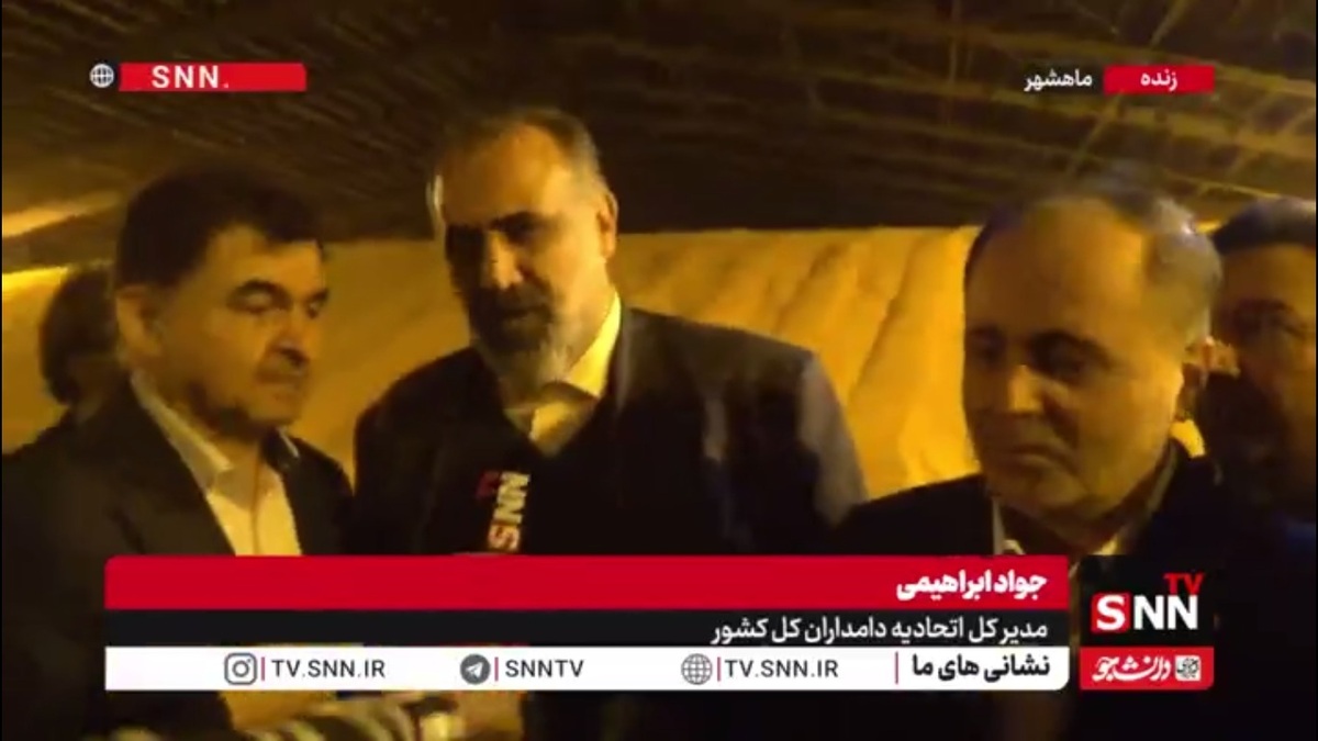 ابراهیمی: بازار سیاه نهاده&zwnj;ها جمع شد / قیمت کارشناسی تمام&zwnj;شده گوشت اکنون حدود ۶۰۰ هزار تومان برآورد شده است