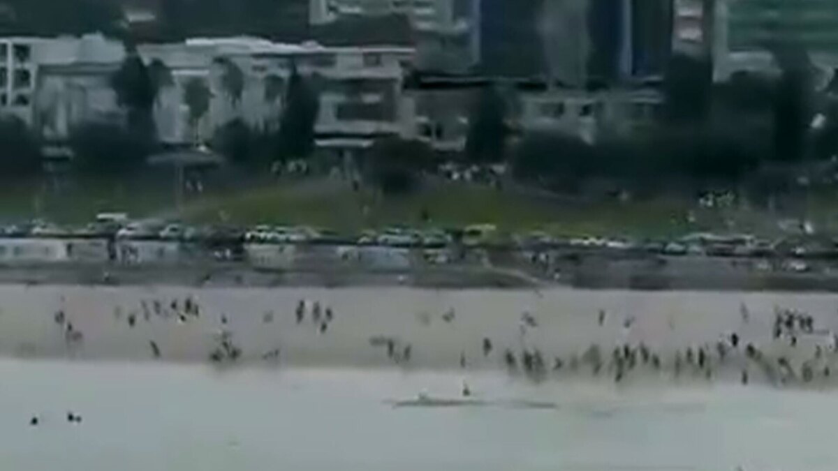 ۱۰ کشته و ۱۲ زخمی در جشن خونین حنوکای یهودی در استرالیا