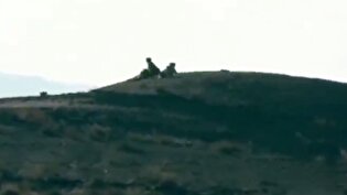 مشاهده ۶ یوزپلنگ در میاندشت خراسان شمالی