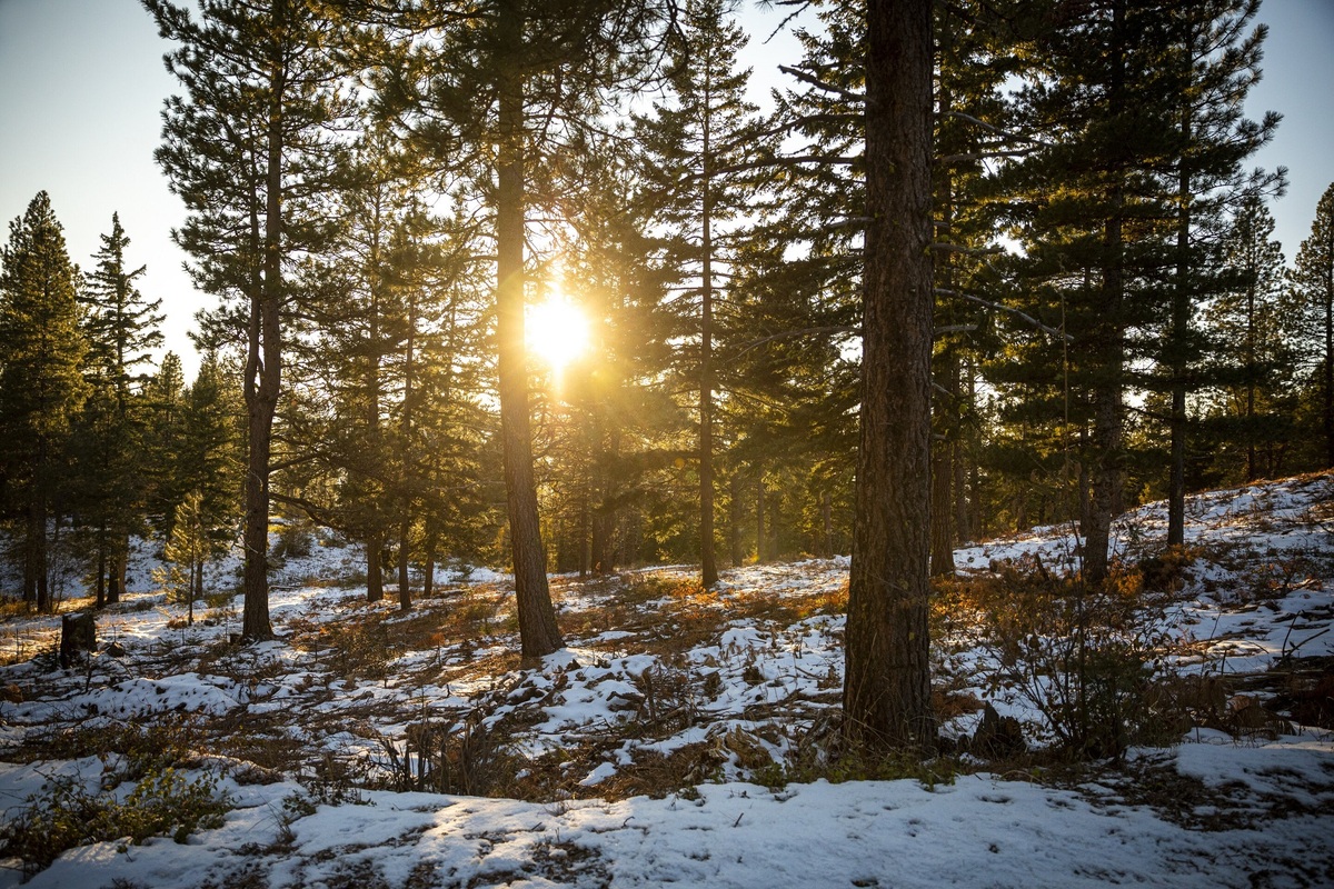 هواشناسی ایران ۲۶ آذر