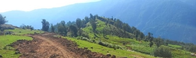 قاچاق چوب و جادههای غیرمجاز در دل جنگلهای گیلان/ تلاش برای حفاظت در برابر تخریب+فیلم /منتشر نشود قاچاق چوب و جادههای غیرمجاز در دل جنگلهای گیلان/ تلاش برای حفاظت در برابر تخریب+فیلم /منتشر نشود