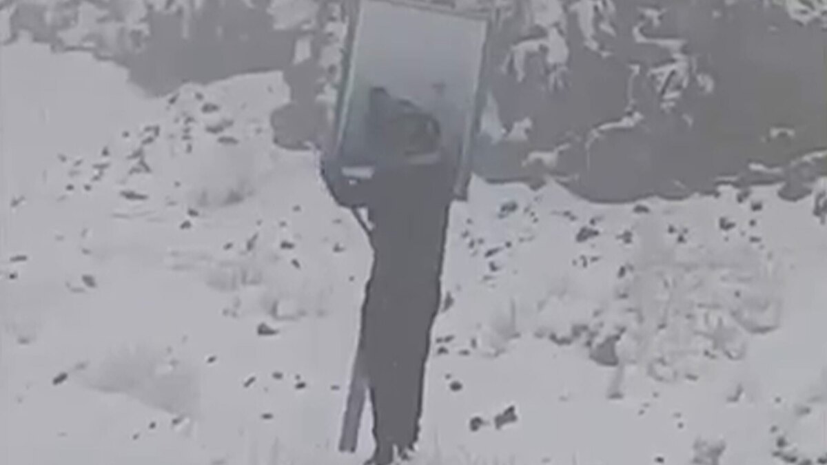 زیر برف، هنوز یک نام زنده بود