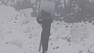 زیر برف، هنوز یک نام زنده بود