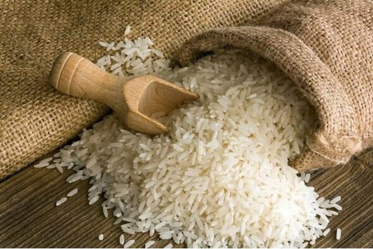 قیمت برنج در میادین و بازارهای میوه و تره بار اعلام شد