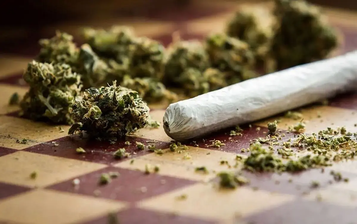 قدرت مخرب‌تر ماده اعتیادآور گل در ایران/ جرم و جنایت در ایالت‌های مصرف‌کننده گل در امریکا بسیار بیشتر از سایر ایالت‌ها است