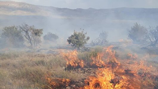 لکه گیری مناطق آتش سوزی مراتع دیرماز جلفا شروع شده است