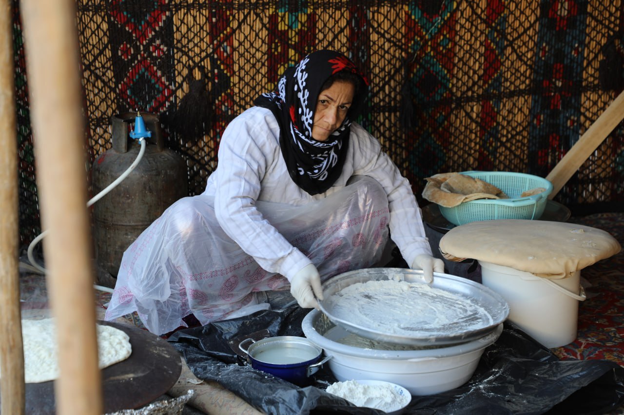 دانشگاه امیرکبیر