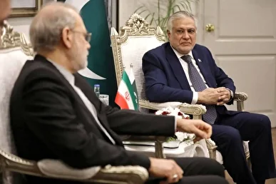 دیدار لاریجانی با معاون نخست وزیر پاکستان