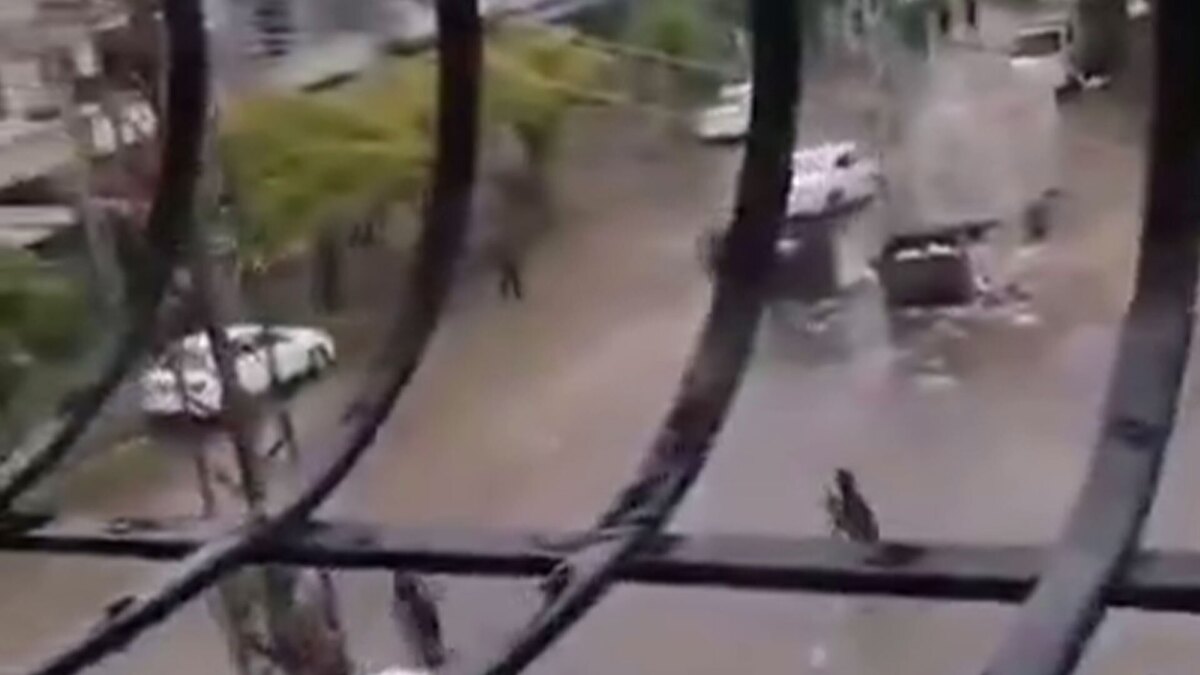 حکومت جولانی مانع از برگزاری تجمعات مسالمت آمیز در حمص شد