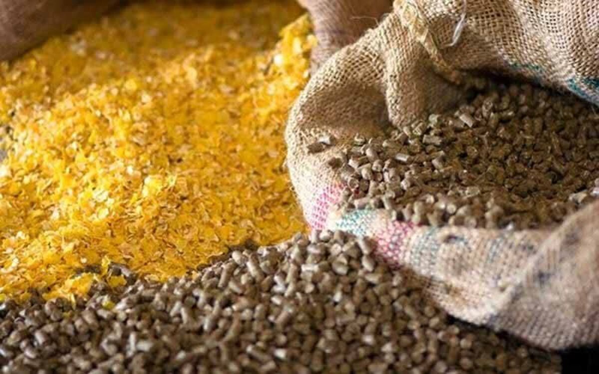 کشف ۴۲ هزار تن نهاده دامی قاچاق و احتکاری