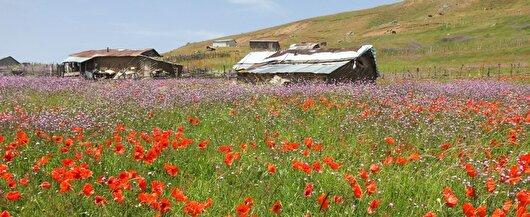 آسمان گیلان در روز طبیعت صاف تا نیمه ابری است