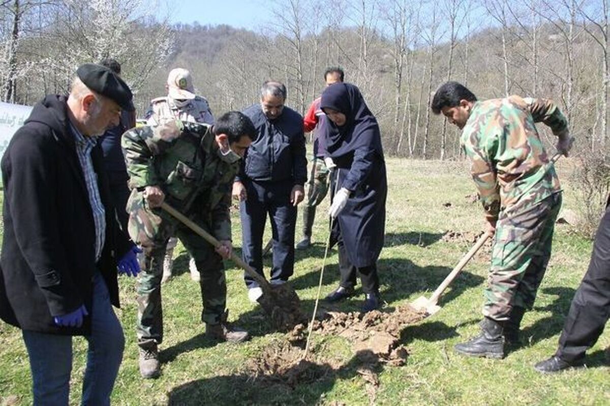 گزارش خبرنگار SNNTV از کاشت نهال توسط مردم تهران به نیت شهدای جنگ تحمیلی سوم + فیلم