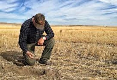 نیویورک‌تایمز: کشاورزان آمریکایی تاوان جنگ ترامپ علیه ایران را می‌دهند/ افزایش شدید قیمت کود شیمیایی