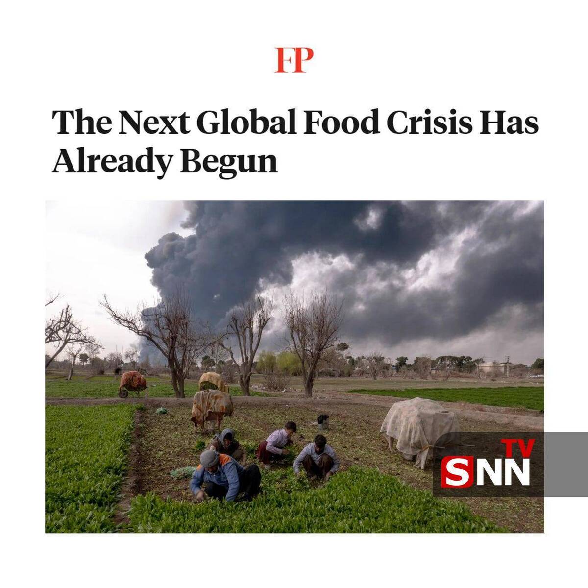 فارین پالیسی: بحران جهانی غذا از همین حالا آغاز شده است