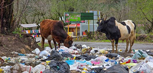 استاندار گیلان: روزانه ۱۸۰۰ تن زباله در استان تولید می‌شود