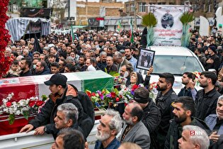 زوج دماوندی در حمله آمریکایی صهیونی به شهادت رسیدند