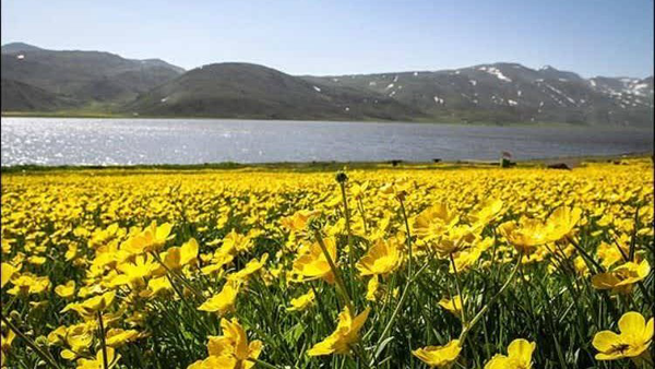 تشدید حفاظت و جریمه کیفری برای هرگونه صید ماهی در تالاب نئور