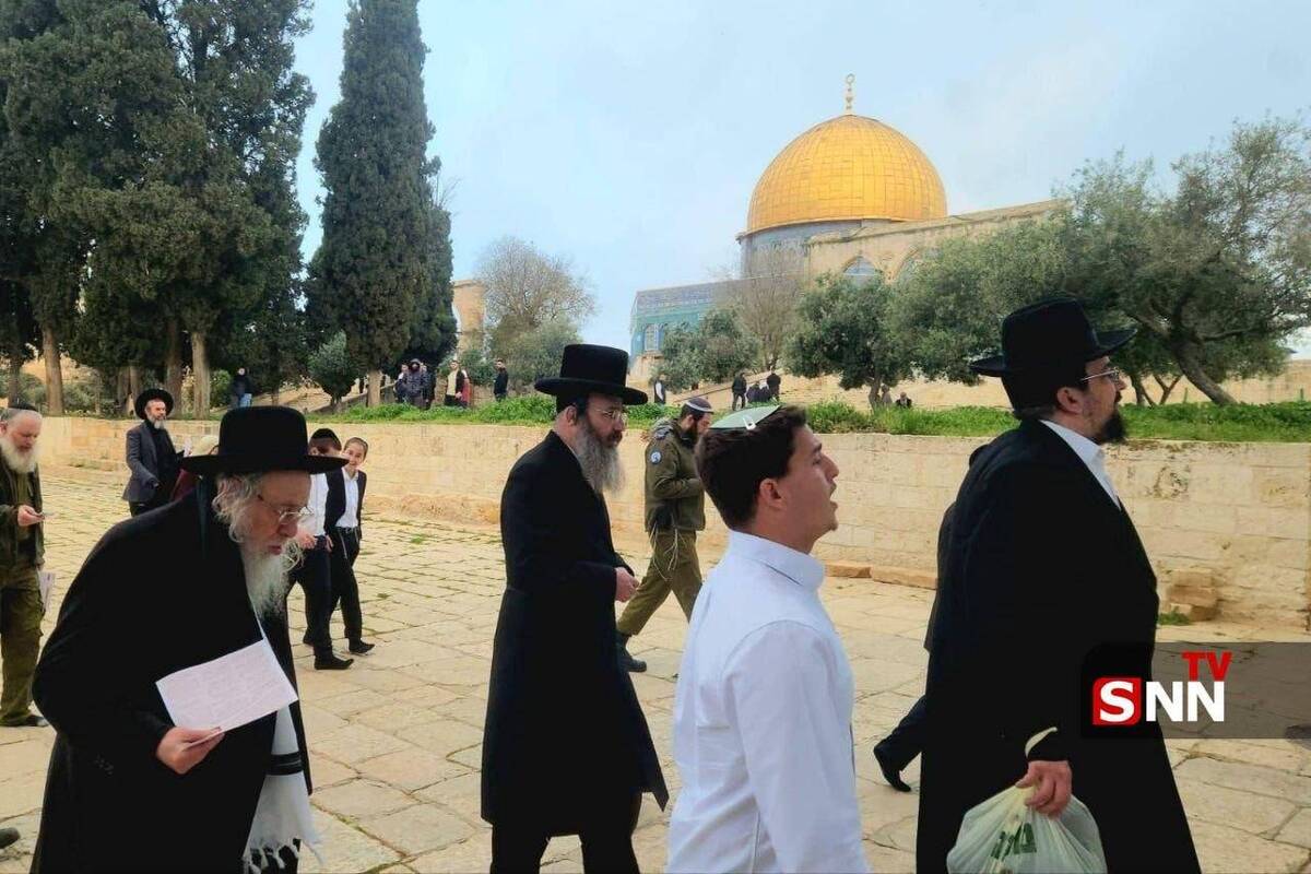 تعرض شهرنشینان به مسجدالاقصی و ربودن یک جوان فلسطینی