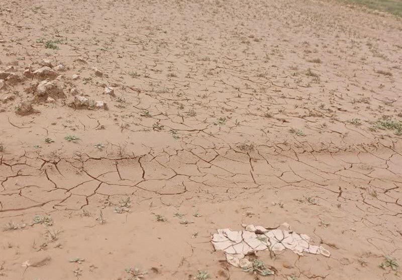 برخورد قانونی با مقصران احتمالی تشدید سیلاب کوی نیرو