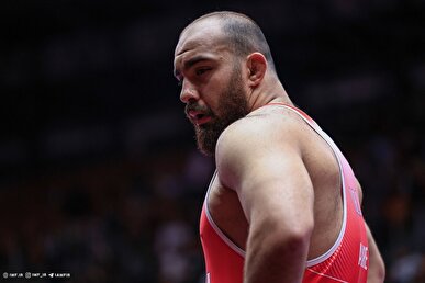 امیرحسین زارع صاحب مدال طلا شد