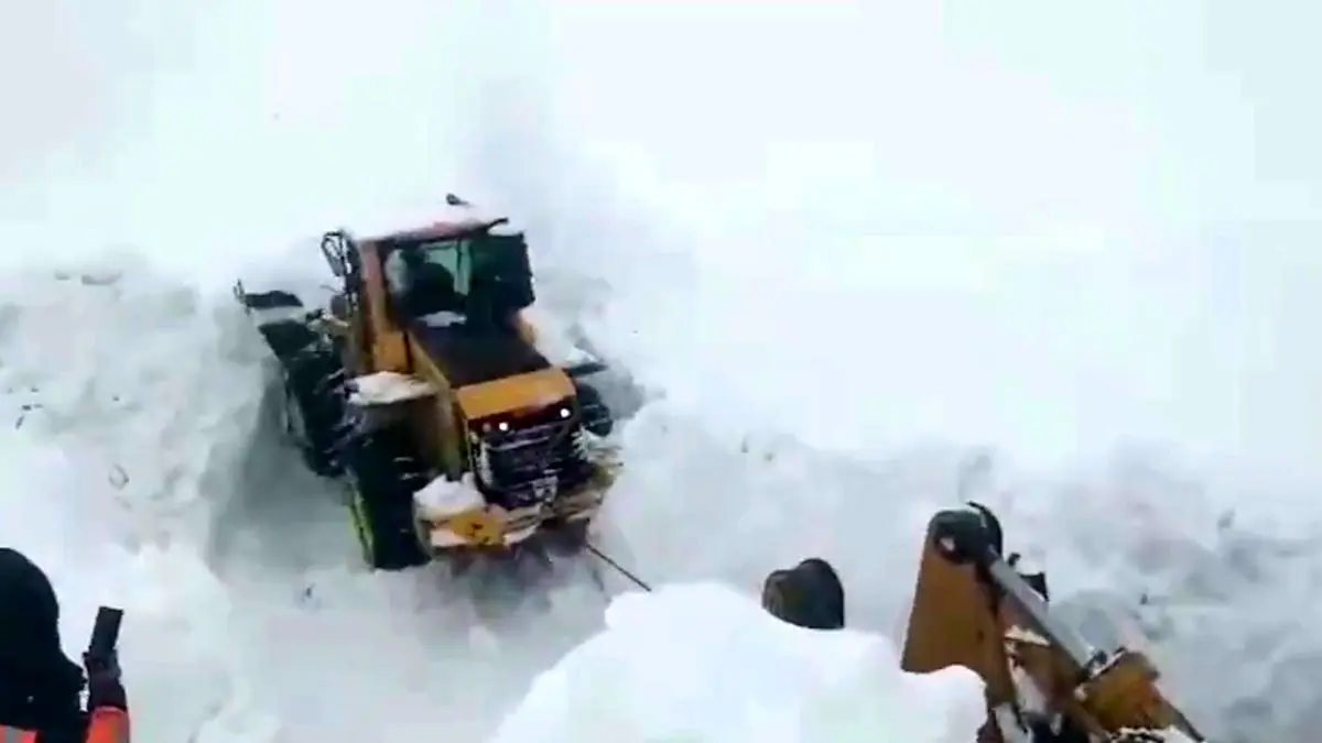 بارش برف در گردنه&zwnj;های چری و شاه منصوری/ هشدار زنجیر چرخ و رعایت فاصله طولی در محورهای کوهستانی