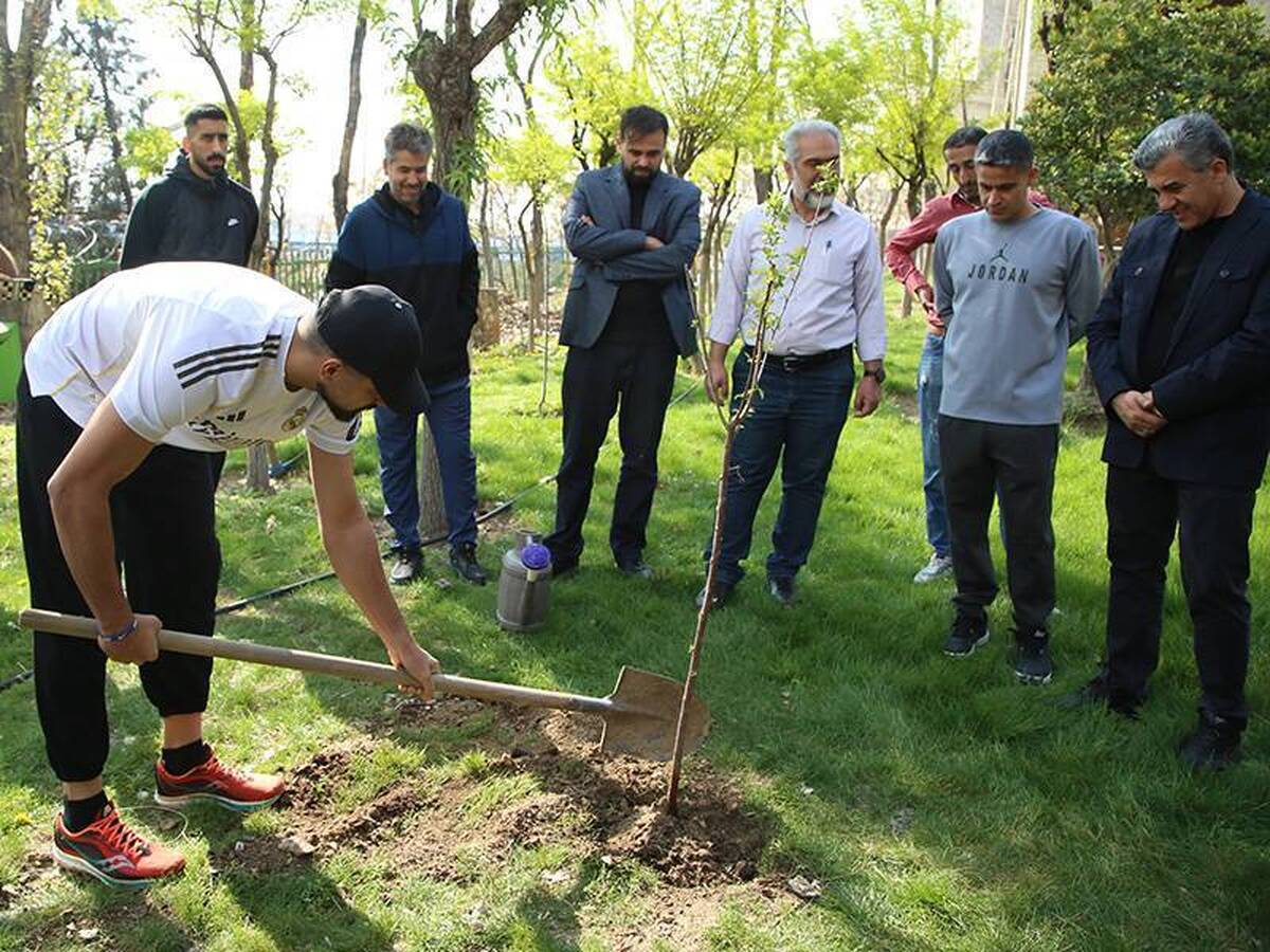 کاشت نهال در محوطه فدراسیون تکواندو توسط اعضای تیم ملی