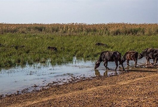 هماهنگی‌های لازم با حوزه مرکزی و بالادست کارون برای انتقال مازاد آب به سمت کرخه صورت گرفته است