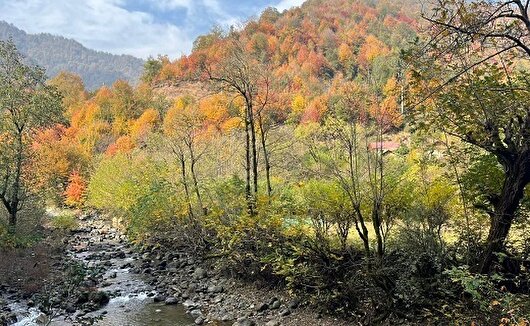 دمای گیلان افزایش می‌یابد