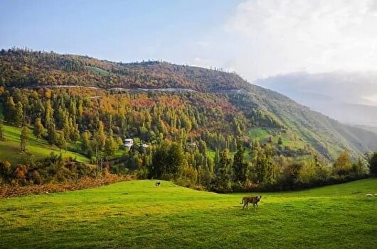 آسمان گیلان هفته جاری صاف تا قسمتی ابری است