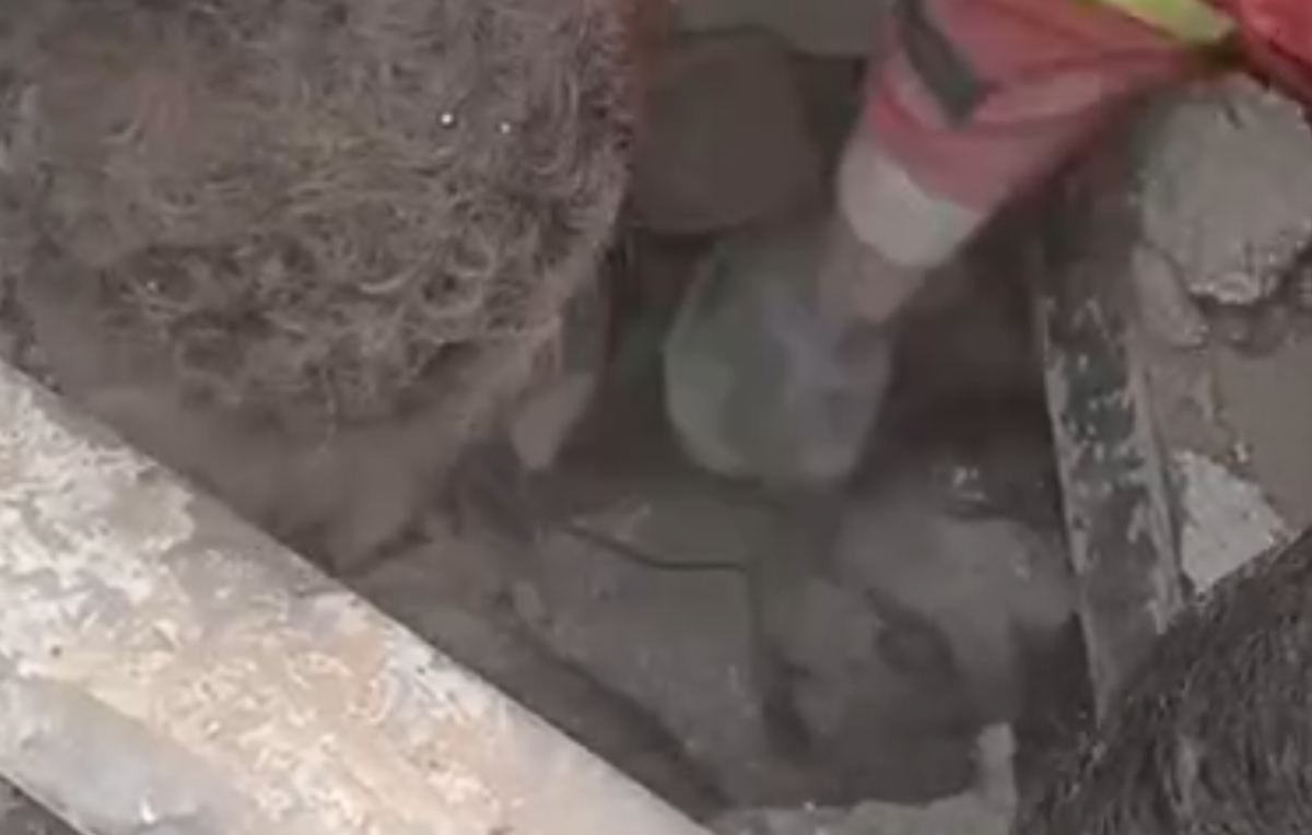 نجات معجزه&zwnj;آسای یک هموطن با تلاش امدادگران آتش&zwnj;نشانی و هلال احمر از زیر آوار حملات هوایی در اطراف تهران